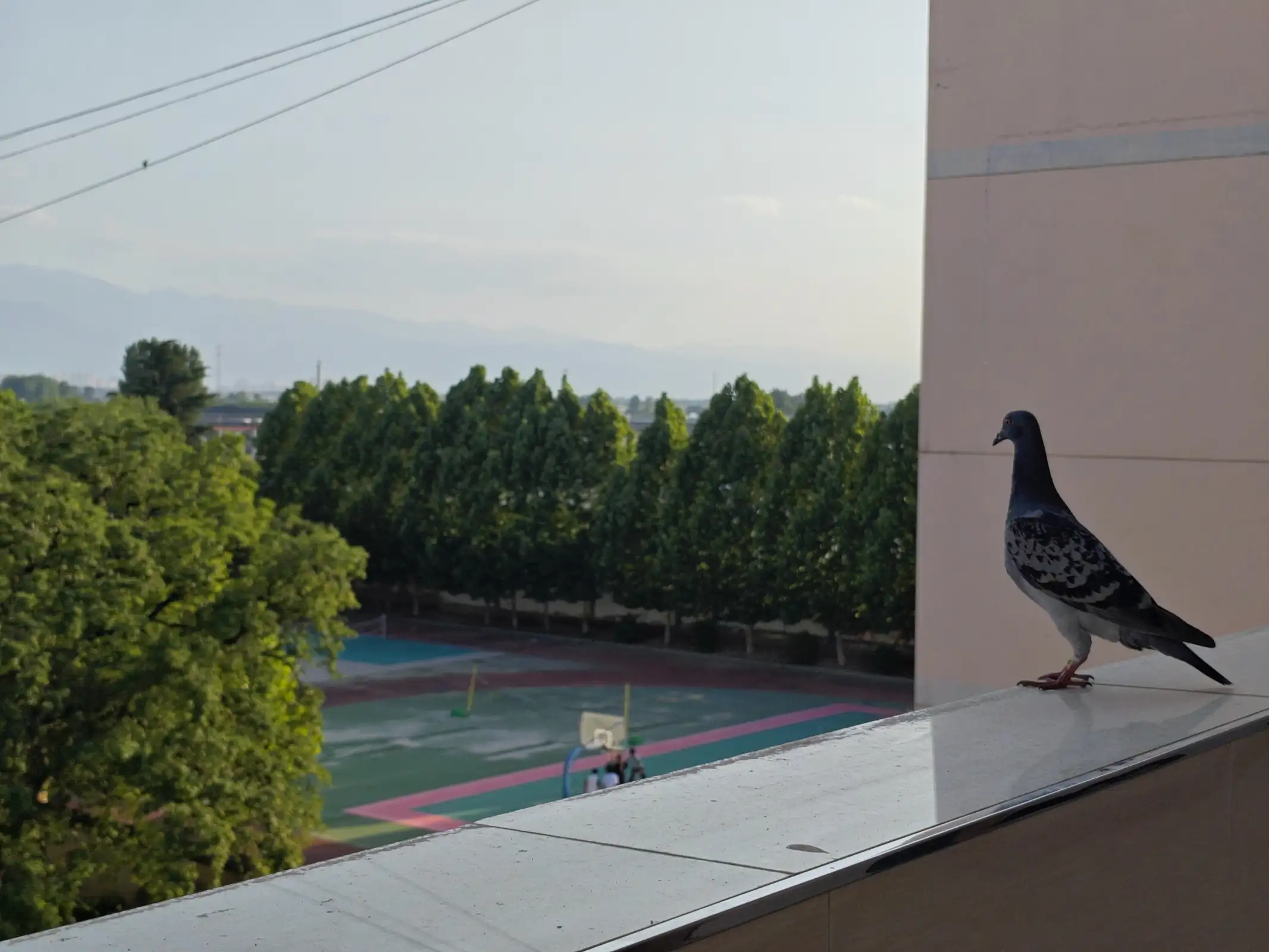 514185.webp