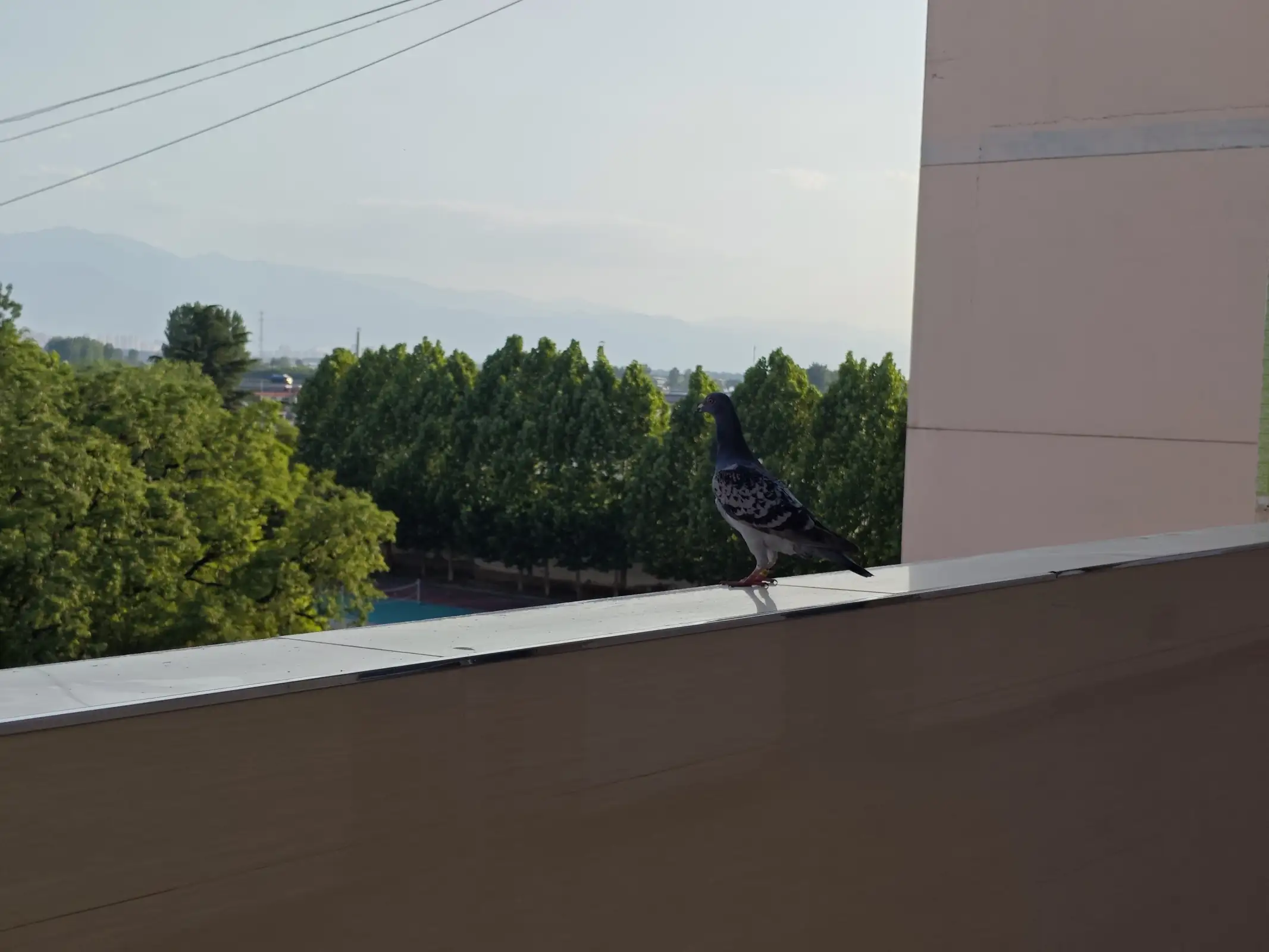 569193.webp